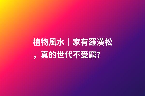 植物風水｜家有羅漢松，真的世代不受窮？