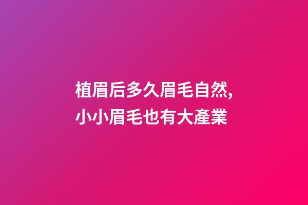 植眉后多久眉毛自然,小小眉毛也有大產業-第1張-觀點-玄機派