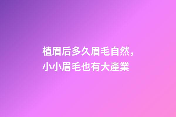植眉后多久眉毛自然，小小眉毛也有大產業-第1張-觀點-玄機派
