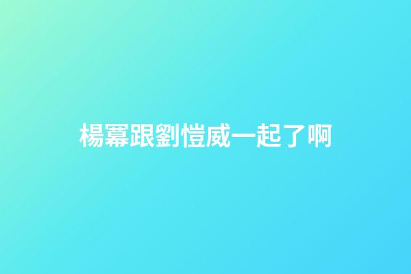 楊冪跟劉愷威一起了啊