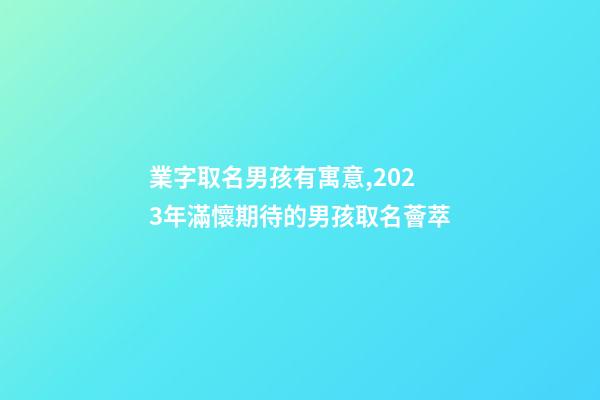 業字取名男孩有寓意,2023年滿懷期待的男孩取名薈萃-第1張-觀點-玄機派