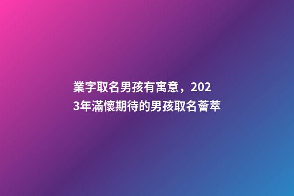 業字取名男孩有寓意，2023年滿懷期待的男孩取名薈萃-第1張-觀點-玄機派