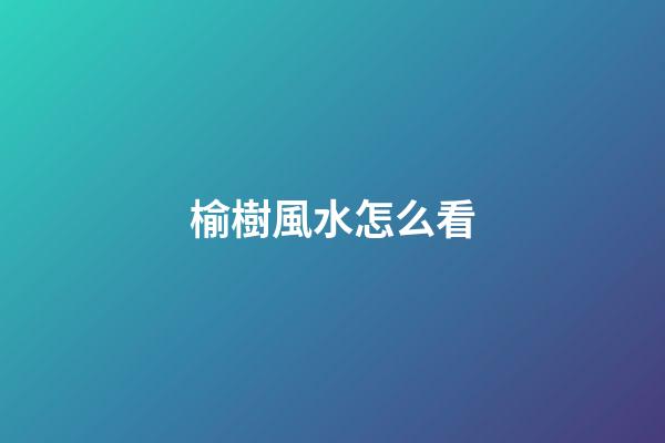 榆樹風水怎么看