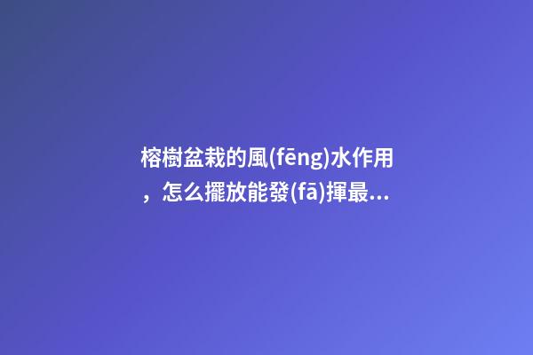 榕樹盆栽的風(fēng)水作用，怎么擺放能發(fā)揮最大效果？