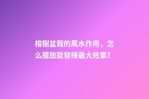 榕樹盆栽的風水作用，怎么擺放能發揮最大效果？