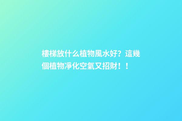 樓梯放什么植物風水好？這幾個植物凈化空氣又招財！！