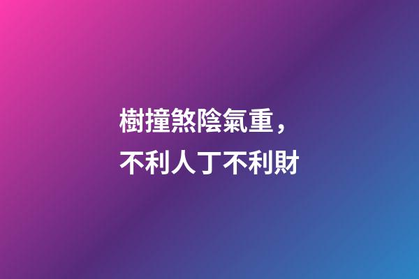 樹撞煞陰氣重，不利人丁不利財