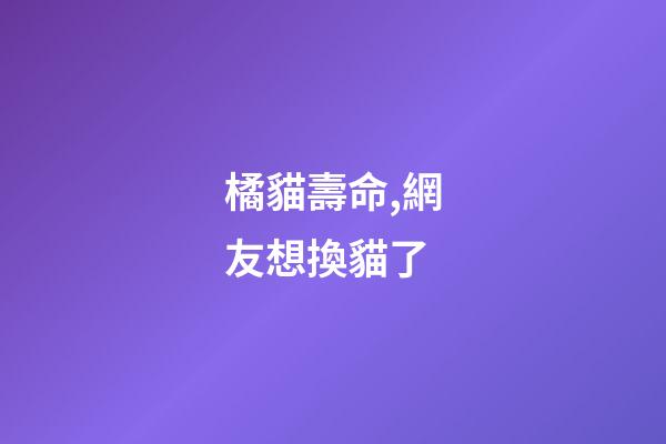 橘貓壽命,網友想換貓了-第1張-觀點-玄機派