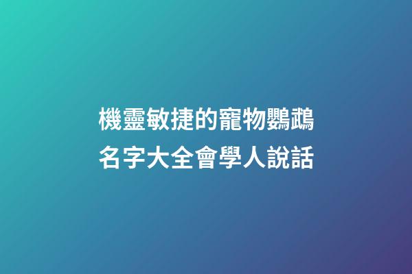 機靈敏捷的寵物鸚鵡名字大全會學人說話