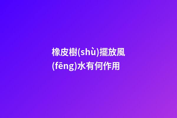 橡皮樹(shù)擺放風(fēng)水有何作用