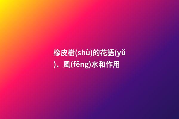 橡皮樹(shù)的花語(yǔ)、風(fēng)水和作用