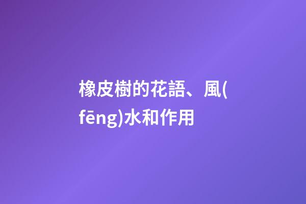 橡皮樹的花語、風(fēng)水和作用