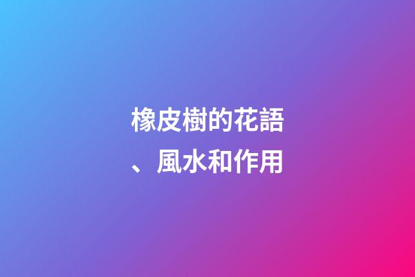 橡皮樹的花語、風水和作用