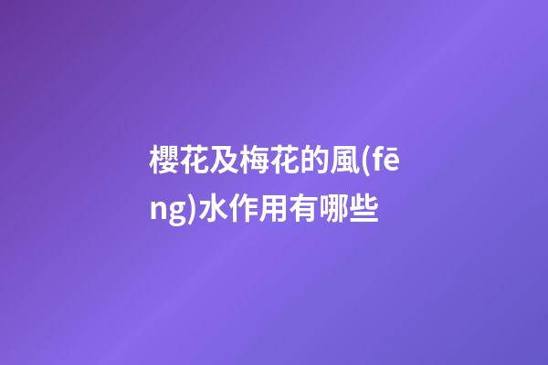 櫻花及梅花的風(fēng)水作用有哪些?