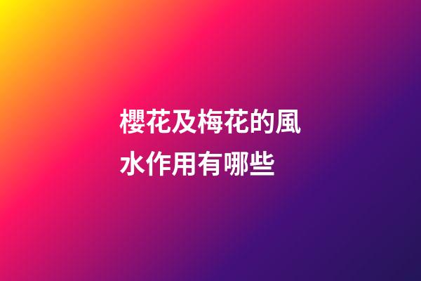 櫻花及梅花的風水作用有哪些?