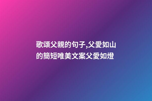歌頌父親的句子,父愛如山的簡短唯美文案父愛如燈-第1張-觀點-玄機派