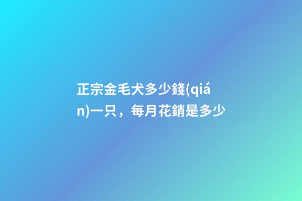 正宗金毛犬多少錢(qián)一只，每月花銷是多少-第1張-觀點(diǎn)-玄機(jī)派