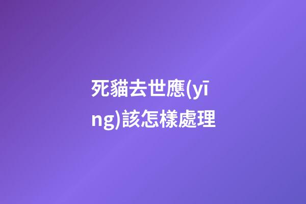 死貓去世應(yīng)該怎樣處理