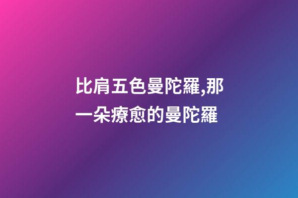 比肩五色曼陀羅,那一朵療愈的曼陀羅-第1張-觀點(diǎn)-玄機(jī)派