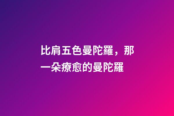 比肩五色曼陀羅，那一朵療愈的曼陀羅-第1張-觀點(diǎn)-玄機(jī)派