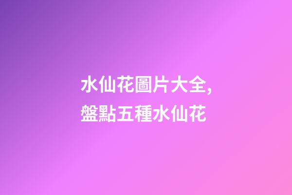 水仙花圖片大全,盤點五種水仙花-第1張-觀點-玄機派
