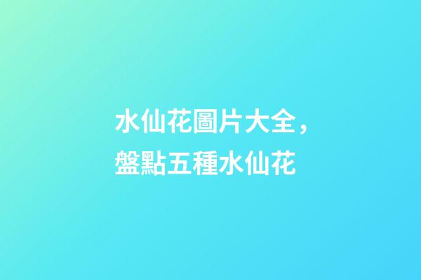 水仙花圖片大全，盤點五種水仙花-第1張-觀點-玄機派