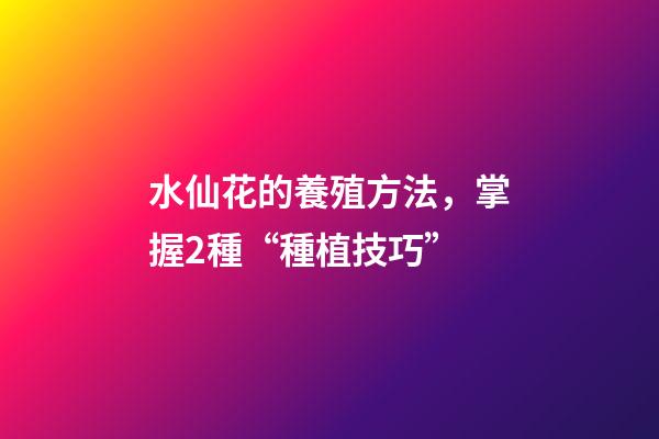 水仙花的養殖方法，掌握2種“種植技巧”-第1張-觀點-玄機派