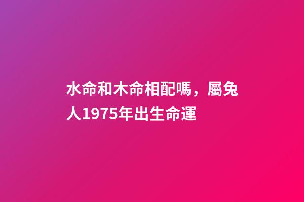 水命和木命相配嗎，屬兔人1975年出生命運-第1張-觀點-玄機派