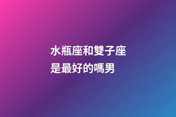 水瓶座和雙子座是最好的嗎男-第1張-星座運勢-玄機派