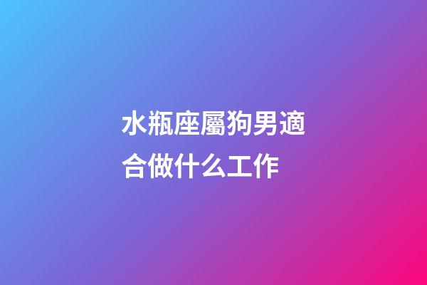 水瓶座屬狗男適合做什么工作-第1張-星座運勢-玄機派