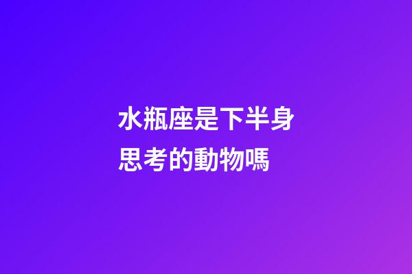 水瓶座是下半身思考的動物嗎-第1張-星座運勢-玄機派