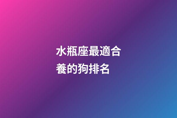 水瓶座最適合養的狗排名-第1張-星座運勢-玄機派