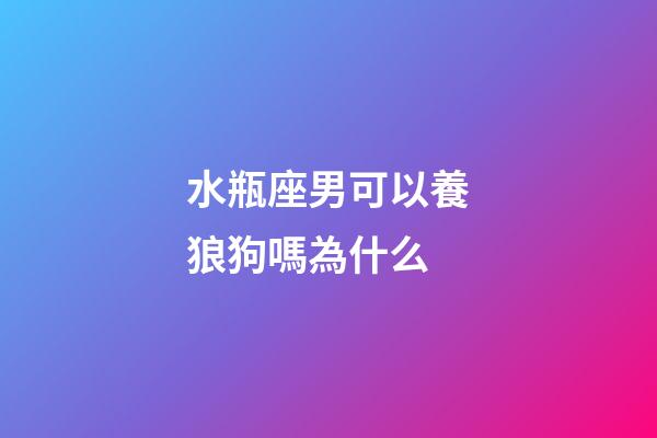 水瓶座男可以養狼狗嗎為什么-第1張-星座運勢-玄機派