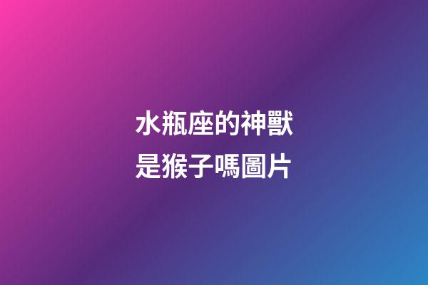 水瓶座的神獸是猴子嗎圖片-第1張-星座運勢-玄機派