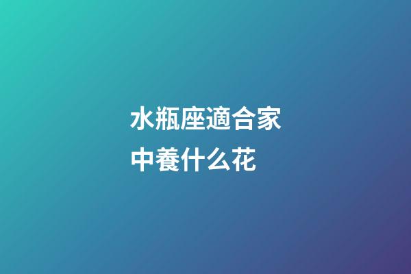水瓶座適合家中養什么花-第1張-星座運勢-玄機派