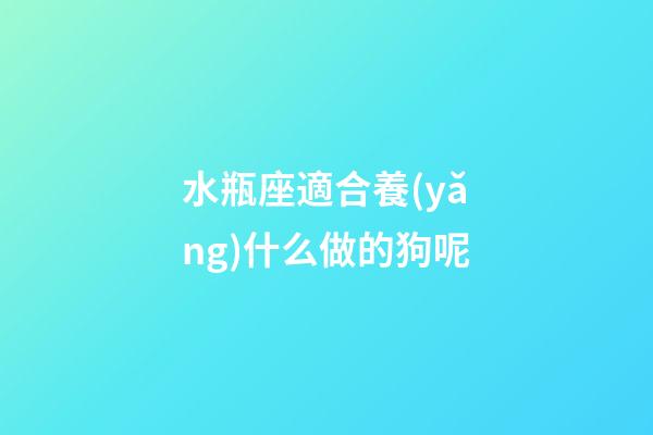 水瓶座適合養(yǎng)什么做的狗呢-第1張-星座運(yùn)勢(shì)-玄機(jī)派