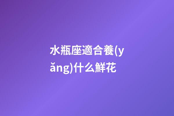 水瓶座適合養(yǎng)什么鮮花-第1張-星座運(yùn)勢-玄機(jī)派
