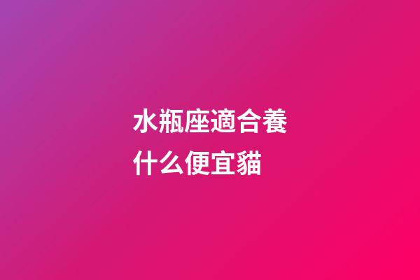 水瓶座適合養什么便宜貓-第1張-星座運勢-玄機派
