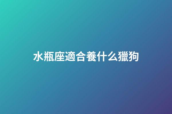 水瓶座適合養什么獵狗-第1張-星座運勢-玄機派