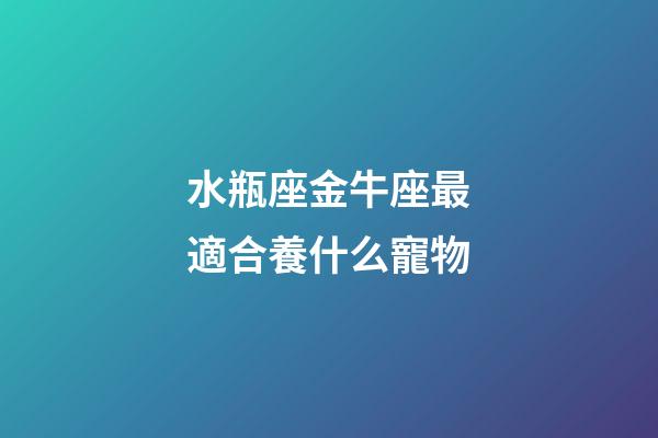 水瓶座金牛座最適合養什么寵物-第1張-星座運勢-玄機派