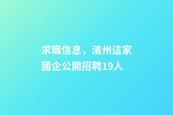 求職信息，濱州這家國企公開招聘19人-第1張-觀點-玄機派