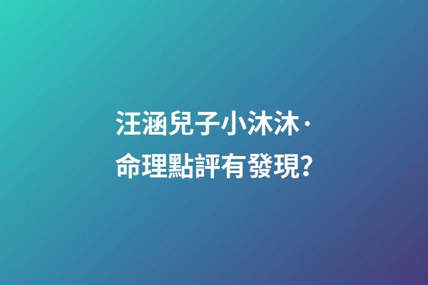 汪涵兒子小沐沐·命理點評有發現？