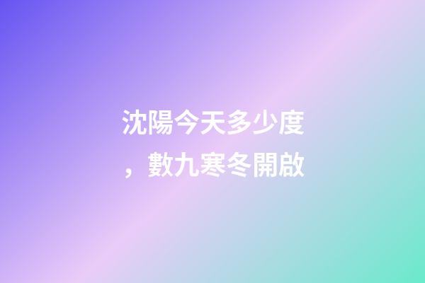 沈陽今天多少度，數九寒冬開啟-第1張-觀點-玄機派