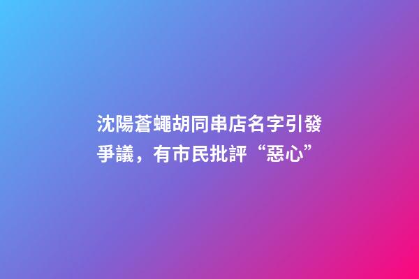 沈陽蒼蠅胡同串店名字引發爭議，有市民批評“惡心”-第1張-店鋪起名-玄機派