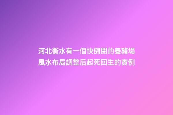 河北衡水有一個快倒閉的養豬場風水布局調整后起死回生的實例
