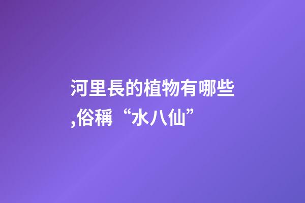 河里長的植物有哪些,俗稱“水八仙”-第1張-觀點-玄機派