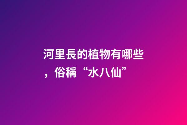 河里長的植物有哪些，俗稱“水八仙”-第1張-觀點-玄機派