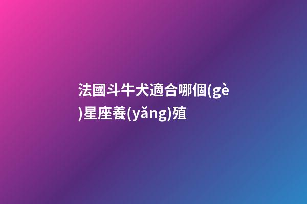 法國斗牛犬適合哪個(gè)星座養(yǎng)殖-第1張-星座運(yùn)勢-玄機(jī)派
