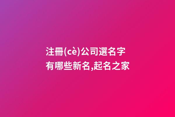 注冊(cè)公司選名字有哪些新名,起名之家