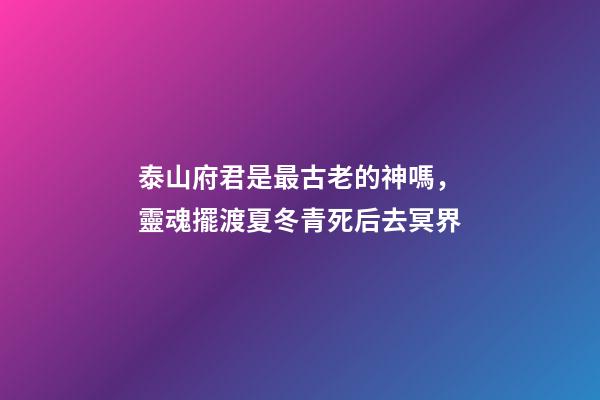 泰山府君是最古老的神嗎，靈魂擺渡夏冬青死后去冥界-第1張-觀點-玄機派